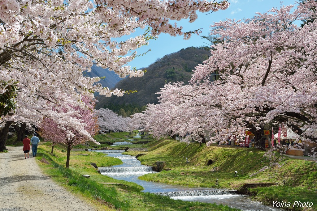 麗かな散歩道