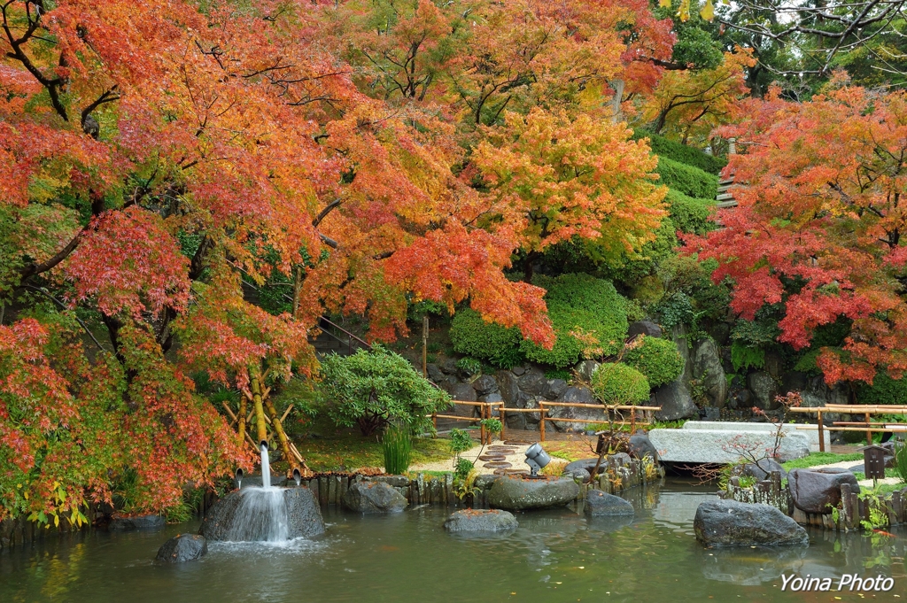 彩色極楽浄土