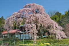 守り継ぐ