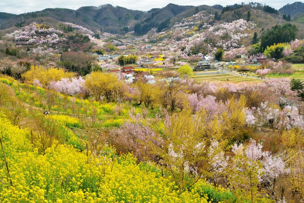 春色山野