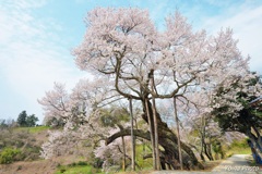 悠久の刻