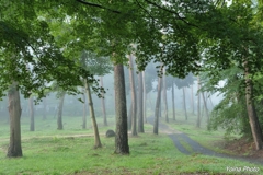 錦待つ小路