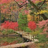 花王橋に紅を添えて