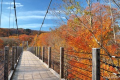 秋に架ける橋