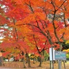 色鮮やかに染めて