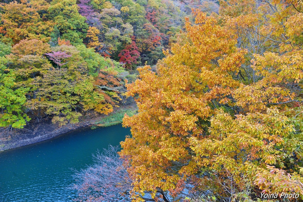 秋思の湖畔