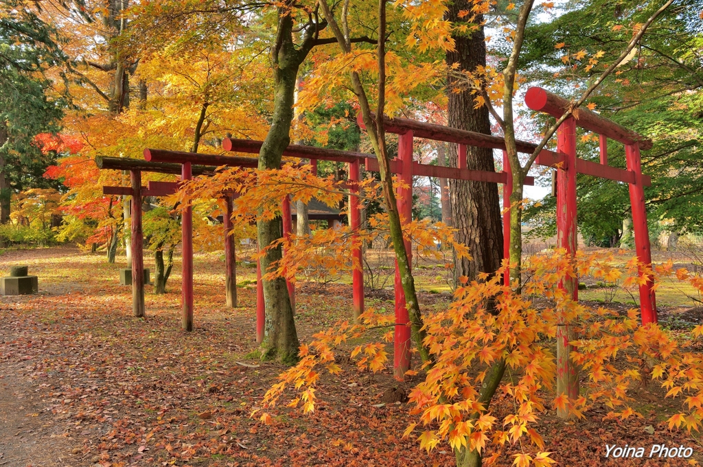 記憶の赤鳥居