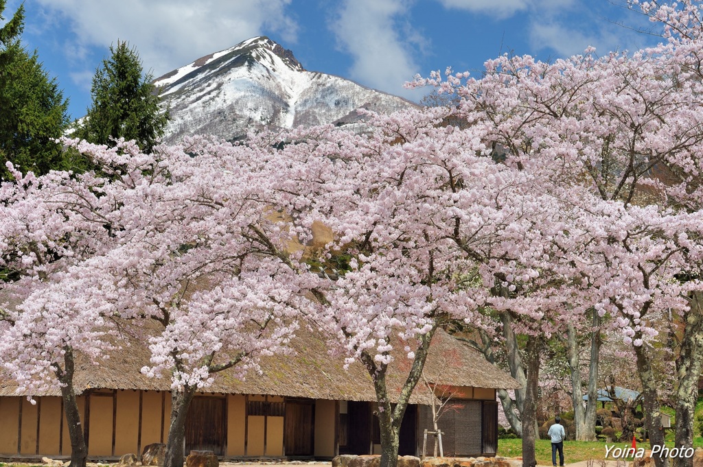 古城址の春
