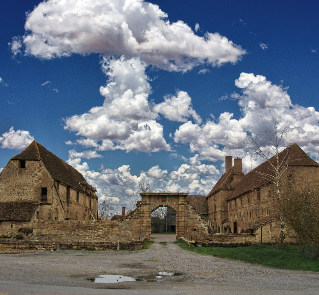 ブルゴーニュ城 - Château de Dracy Saint-Loup