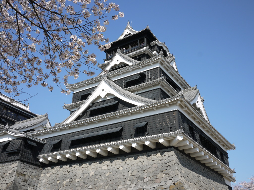 桜と城②