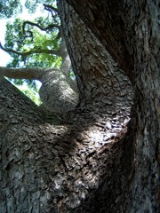 DSCF0051