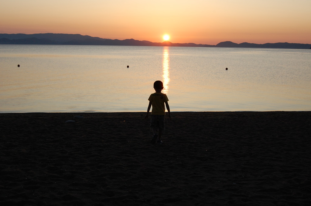 太陽にほえろッ