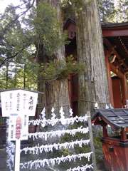 SH3B0124