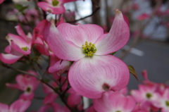 IMGP0372