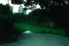 小道