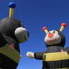 佐賀バルーンフェスタ
