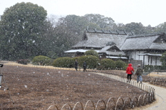 冬の後楽園