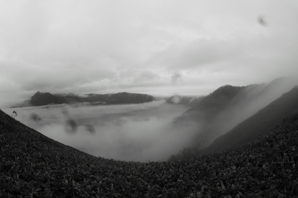 霧の摩周湖