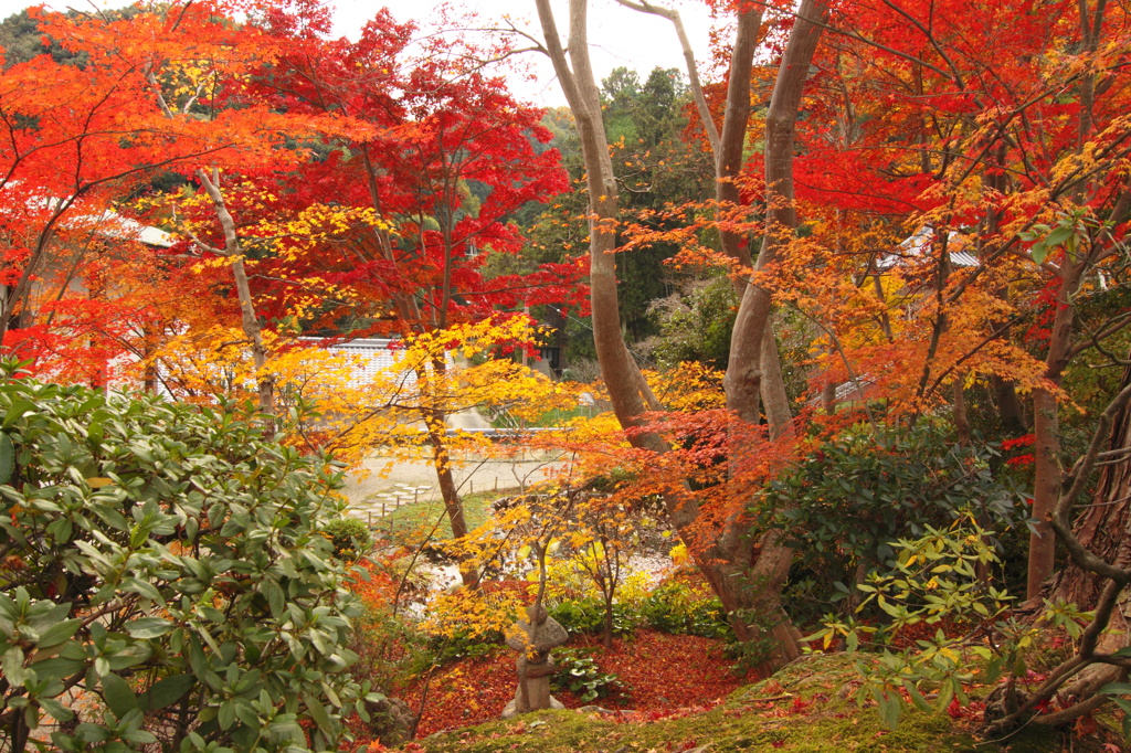 秋　当麻寺にて