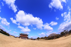 710きれいな平城京 広場