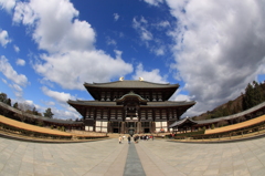 奈良の大仏様の本堂です。