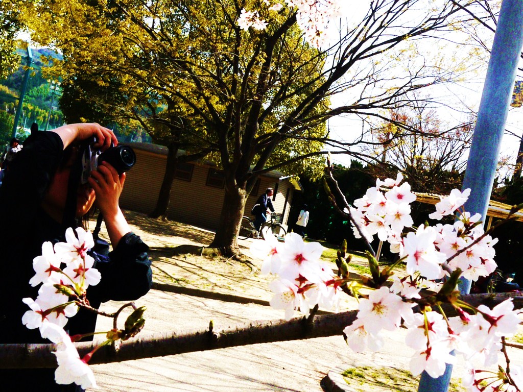 写真日和。
