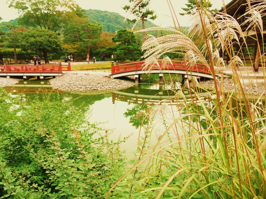 架け橋