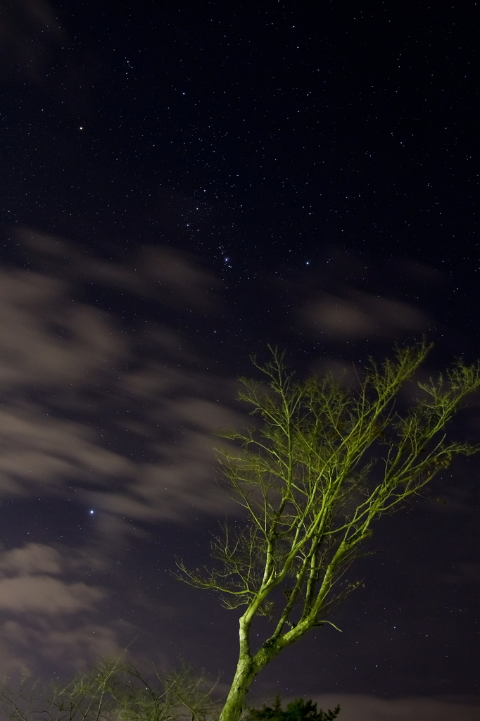 星空写真A