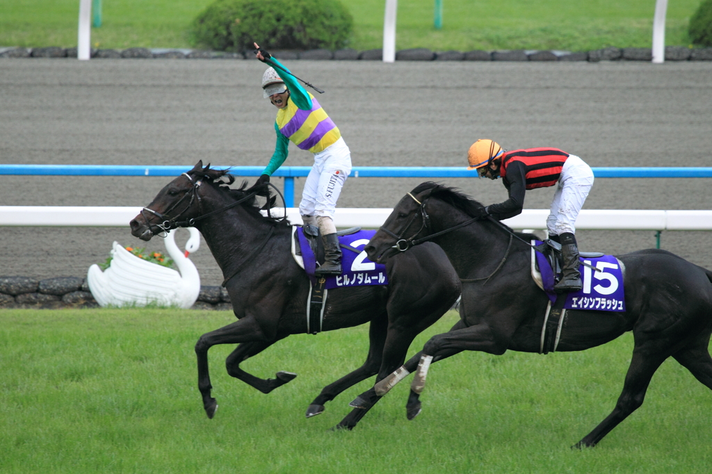 2011春の天皇賞