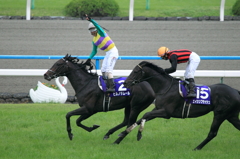2011春の天皇賞