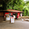 茶店