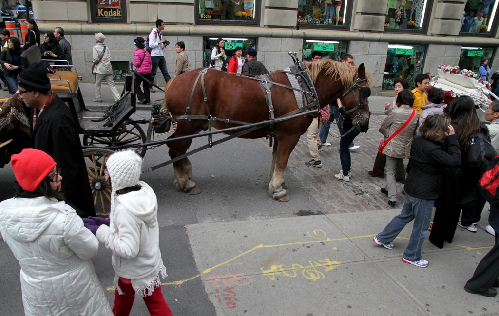 ノートルダム前の賑わい