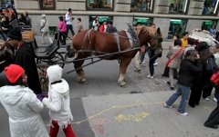 ノートルダム前の賑わい