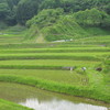 棚田の風景1