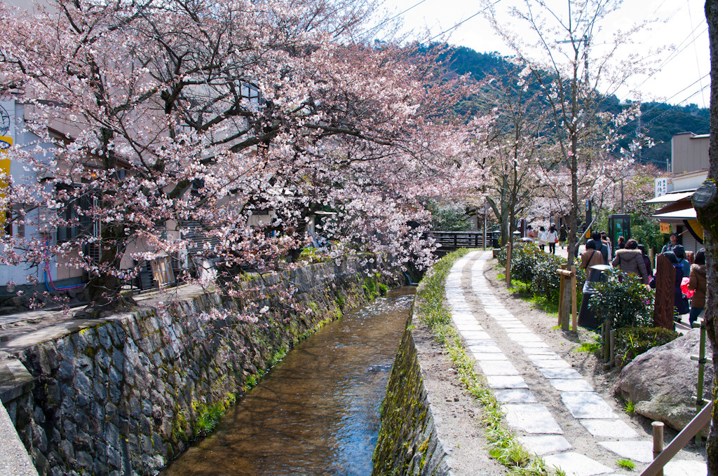 京都 哲学の道