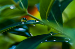 雨上がり