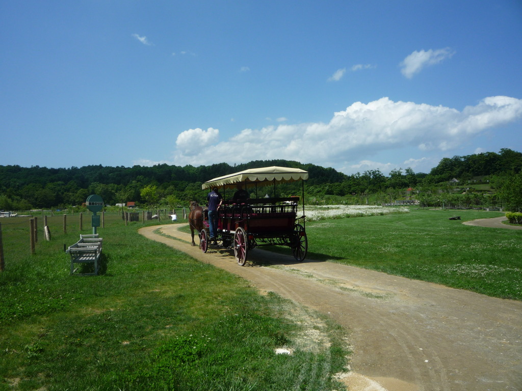 馬車