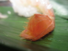 本物のボタン海老