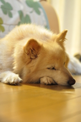 眠い・・・。