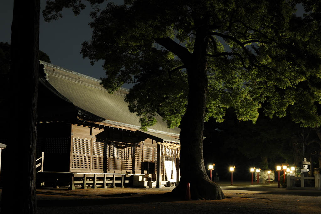 鷲宮神社