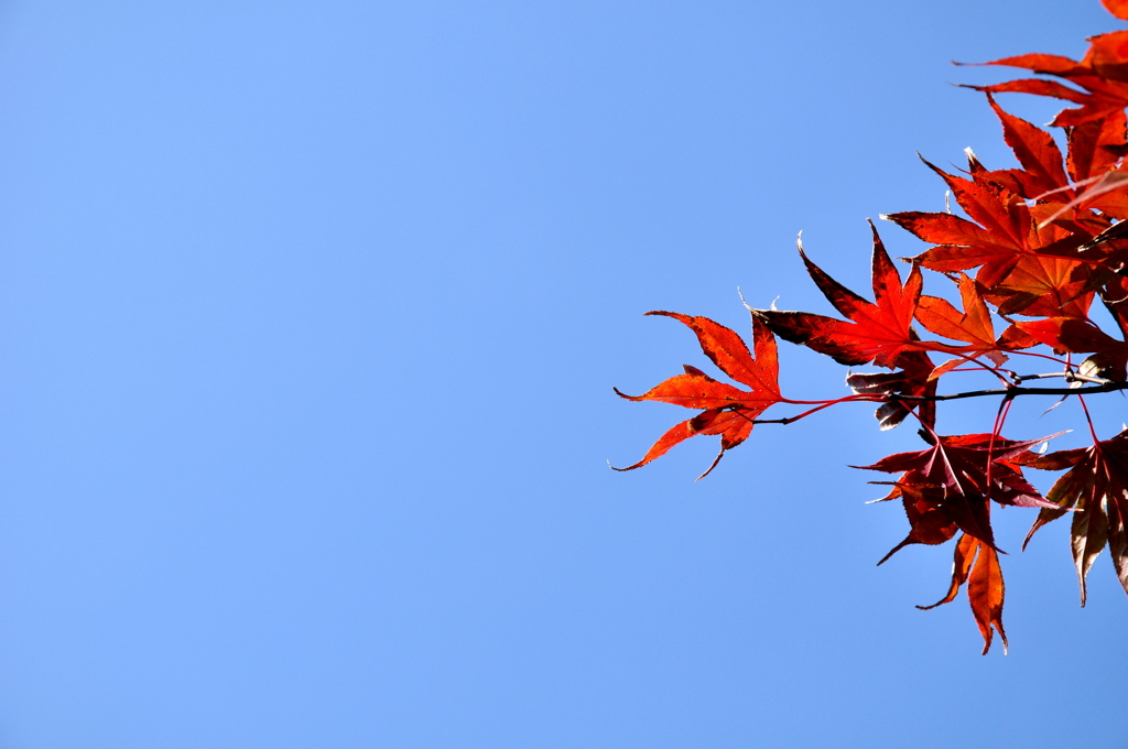 Signs of autumn