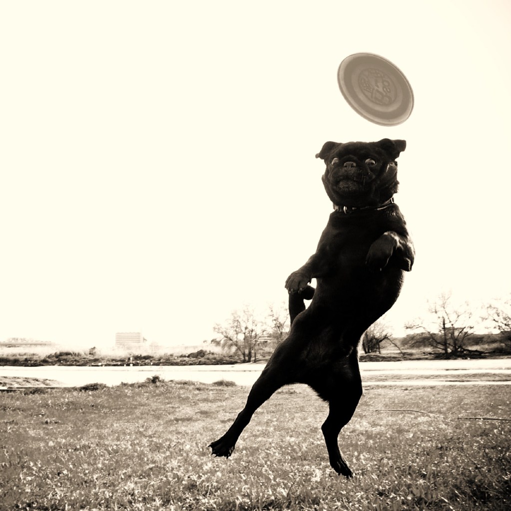 I Can Fly