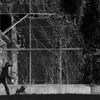 catch ball