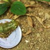 『交番はどこですか？』