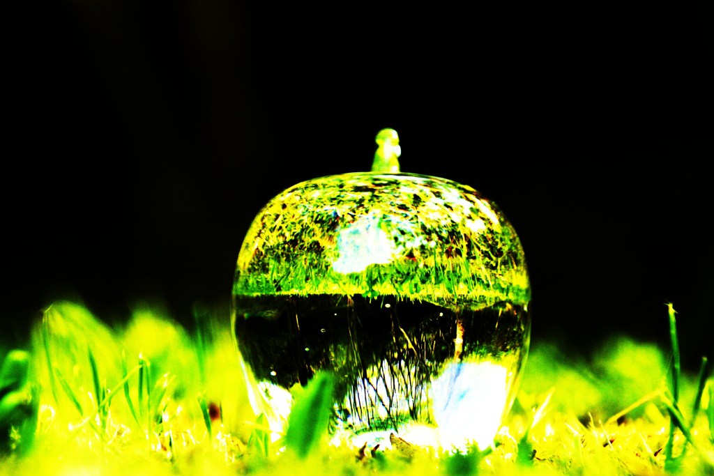 ▼ GREEN EARTH