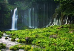 滝　-shiraitonotaki-