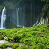 滝　-shiraitonotaki-
