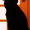 お出迎えシルエット