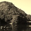 = Ｃａｎｏｅ =