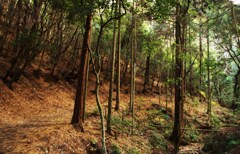 mountain path